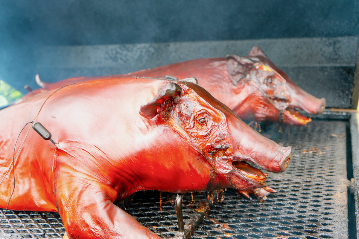 Beer, Bourbon & BBQ Festival Cary, North Carolina